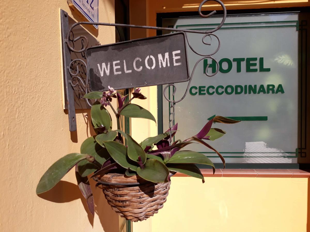 Cecco Di Nara Hotell Massarosa Eksteriør bilde